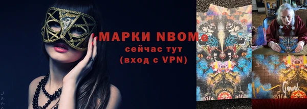 трава Гусиноозёрск