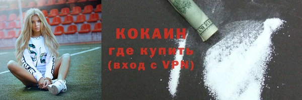 трава Гусиноозёрск