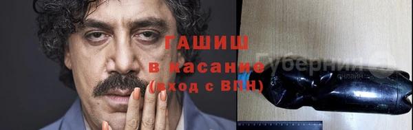 трава Гусиноозёрск