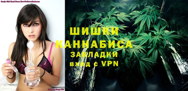 трава Гусиноозёрск