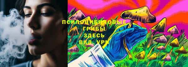 СК Гусь-Хрустальный