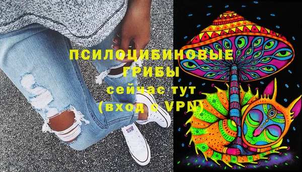 трава Гусиноозёрск