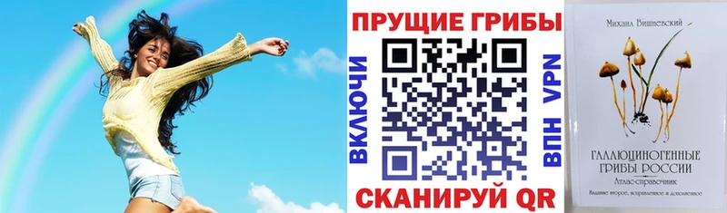 Купить закладки Лысково Галлюциногенные грибы Psilocybine cubensis